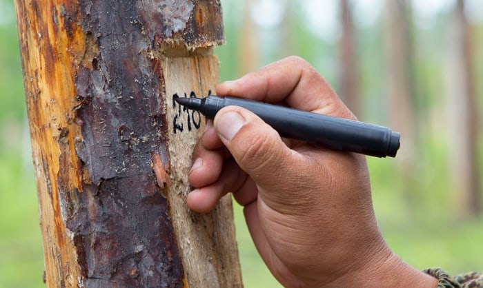 paint-markers-for-wood