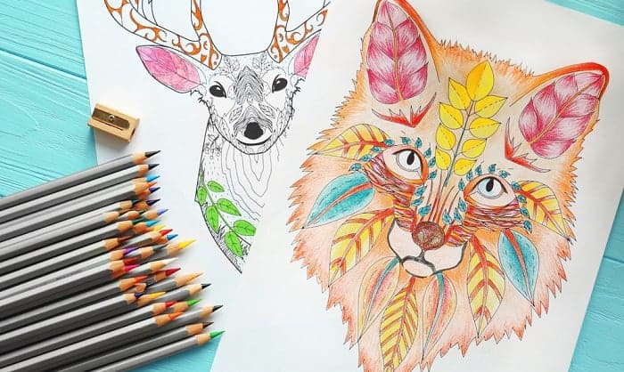 9 Drawing Tips for Beginner Coloured Pencil Artists