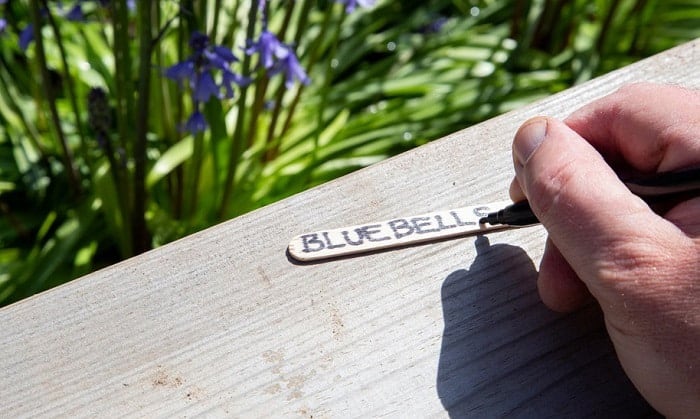 Waterproof Garden Marker Pen