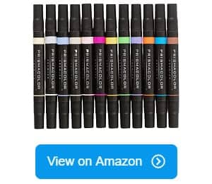 BLUE CHEERY Dual Tip Colorful Alcohol Art Markers with Broad Chisel and  Fine Round Tip for