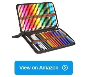 12 Best Watercolor Pencils for Professional and Advanced Users