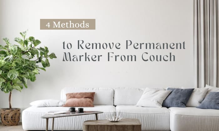 how to remove permanent marker from couch