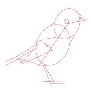 Draw-eyes-for-the-bird