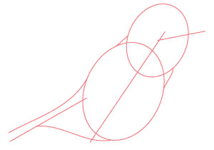 bird-shape