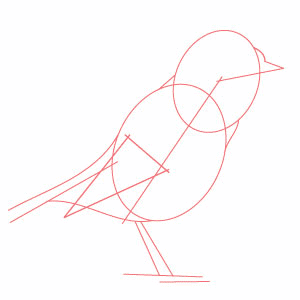 draw-a-bird's-tail